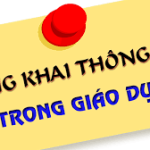 Dự toán chi ngân sách tỉnh năm 2024